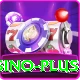 1Win PK Live Casino Plus