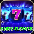 andy flower Max Pro v5.1.8