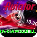 antigua hawksbill Games (Casino & Earning) Max v2.0.1