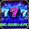bbl big bash apk Games (Casino & Earning) Deluxe v2.7.3