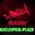 bingopkr Apps (Tools & Injectors) VIP v1.2.8