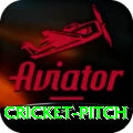 cricket pitch Master Pro v2.3.9