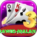 dawid malan Deluxe Edition v5.4.3