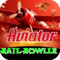economy rate bowler Plus v4.3.9