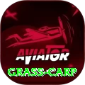 grass carp Games (Casino & Earning) Elite v4.4.6