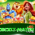 india cricket match Plus v2.2.1