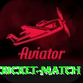 india next cricket match VIP v4.5.2