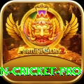 india pakistan cricket - Slots Pro