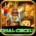 international cricket Pro Edition v1.0.0