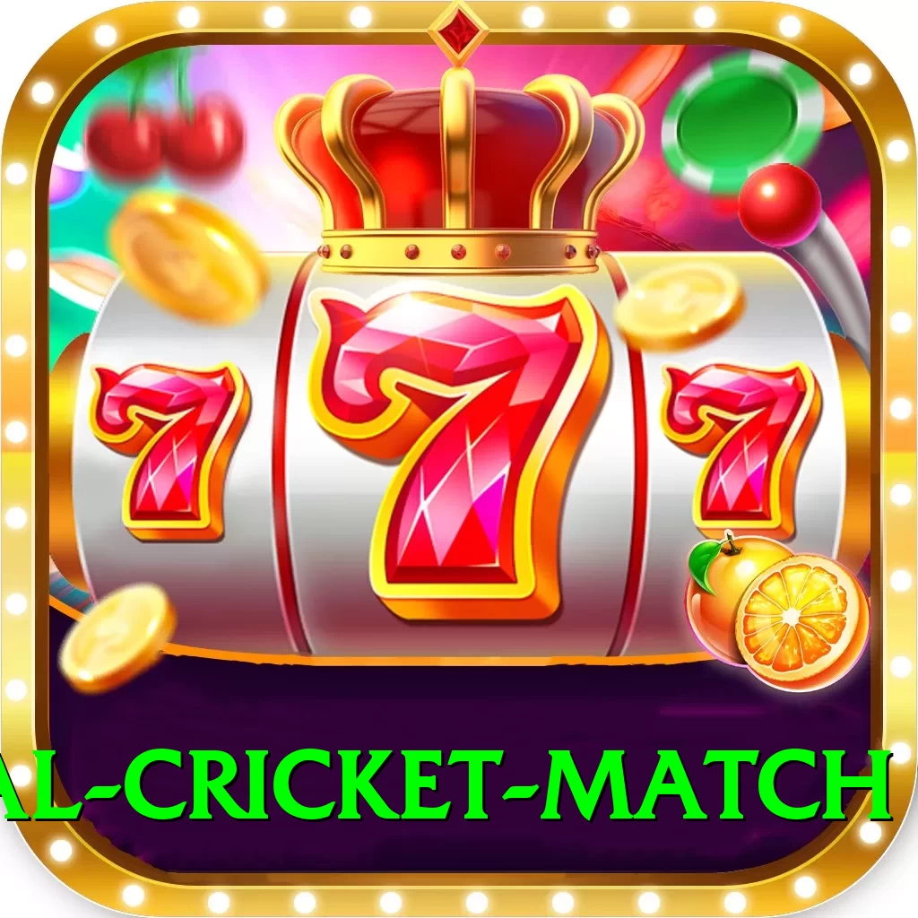 international cricket match Plus v1.8.3 - 2