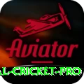 international cricket Deluxe Slots