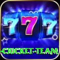ireland cricket team Master Pro v1.7.6