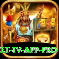 live cricket tv app Live Casino King