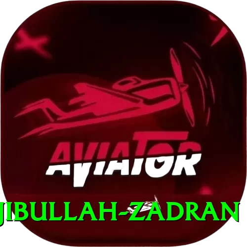 najibullah zadran Pro1 v4.9.5 - 2