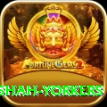 naseem shah yorkers Games (Casino & Earning) Premium v5.0.4