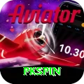 pkspin Elite Pro vv5.1.6