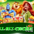 risk free bet cricket Apps (Tools & Injectors) Pro v4.3.1