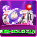 rudi koertzen Pro v3.9.9