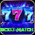 to day cricket match Turbo Pro v1.5.2