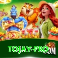 tojay Prime - Win Real PKR