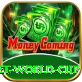 under 19 cricket world cup Deluxe v2.0.2