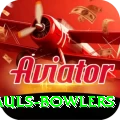 wicket hauls bowlers Pro v1.4.9