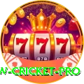 willow cricket Elite - Casino & Slots