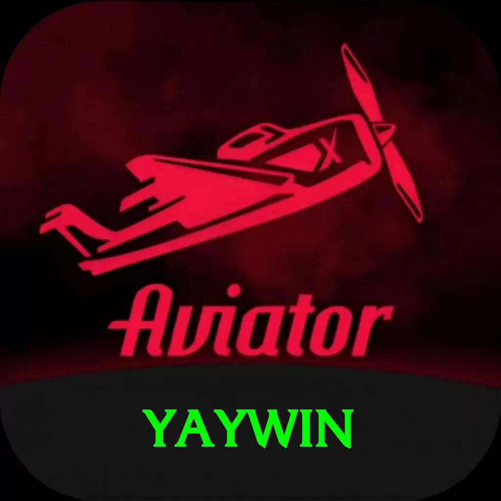 yaywin Plus Pro v4.0.8 - 2